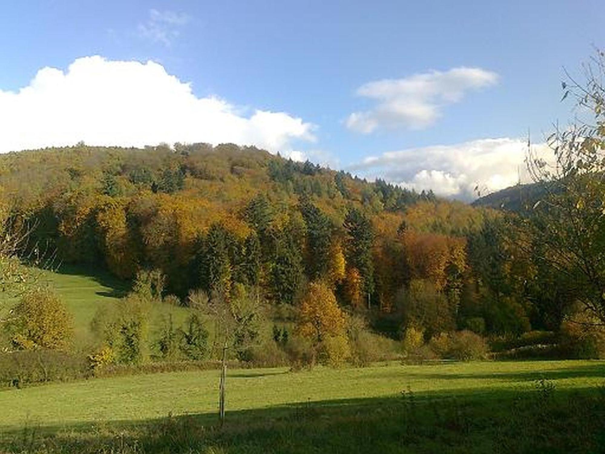 Rosenhof Broggingen * Herbolzheim