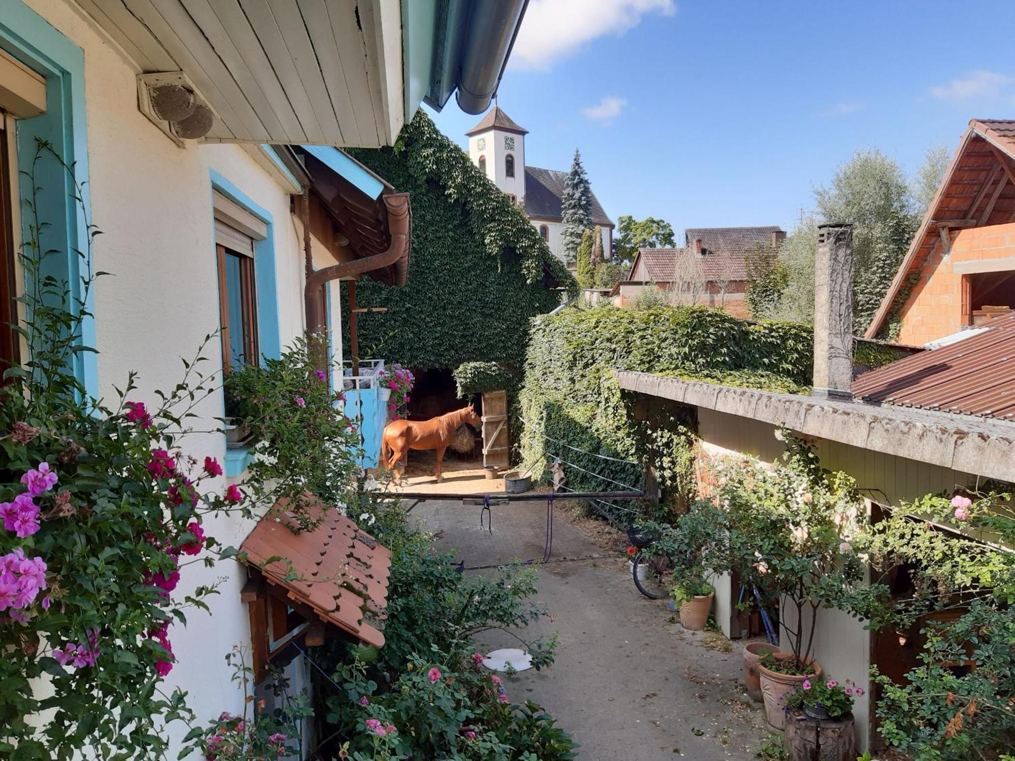 Apartment Rosenhof Broggingen
