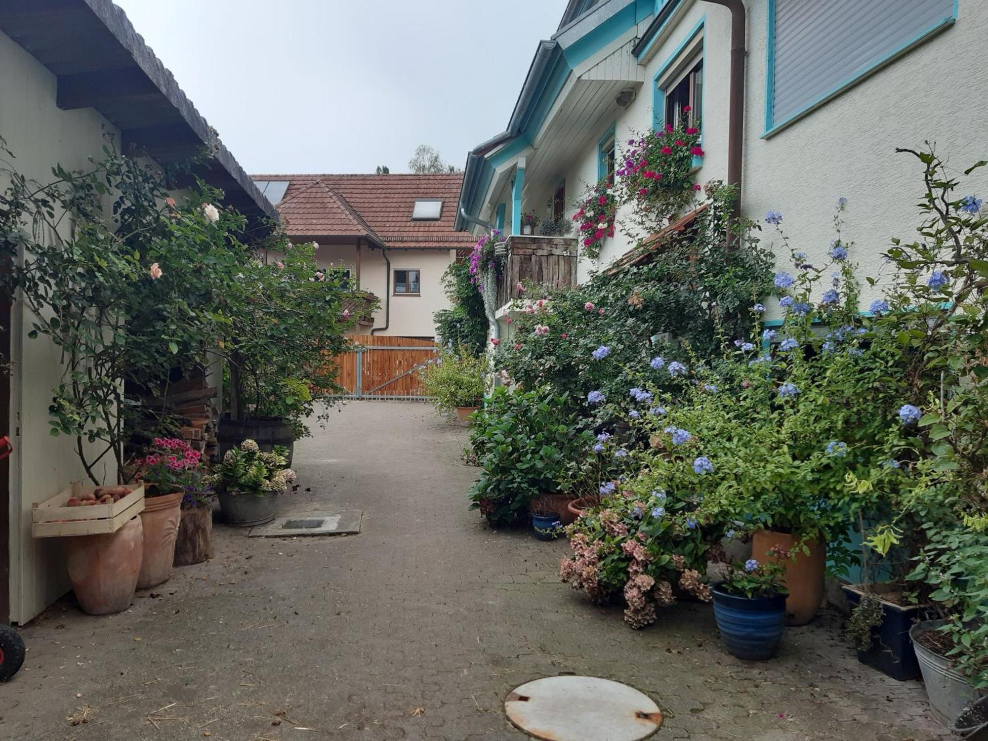 Apartment Rosenhof Broggingen