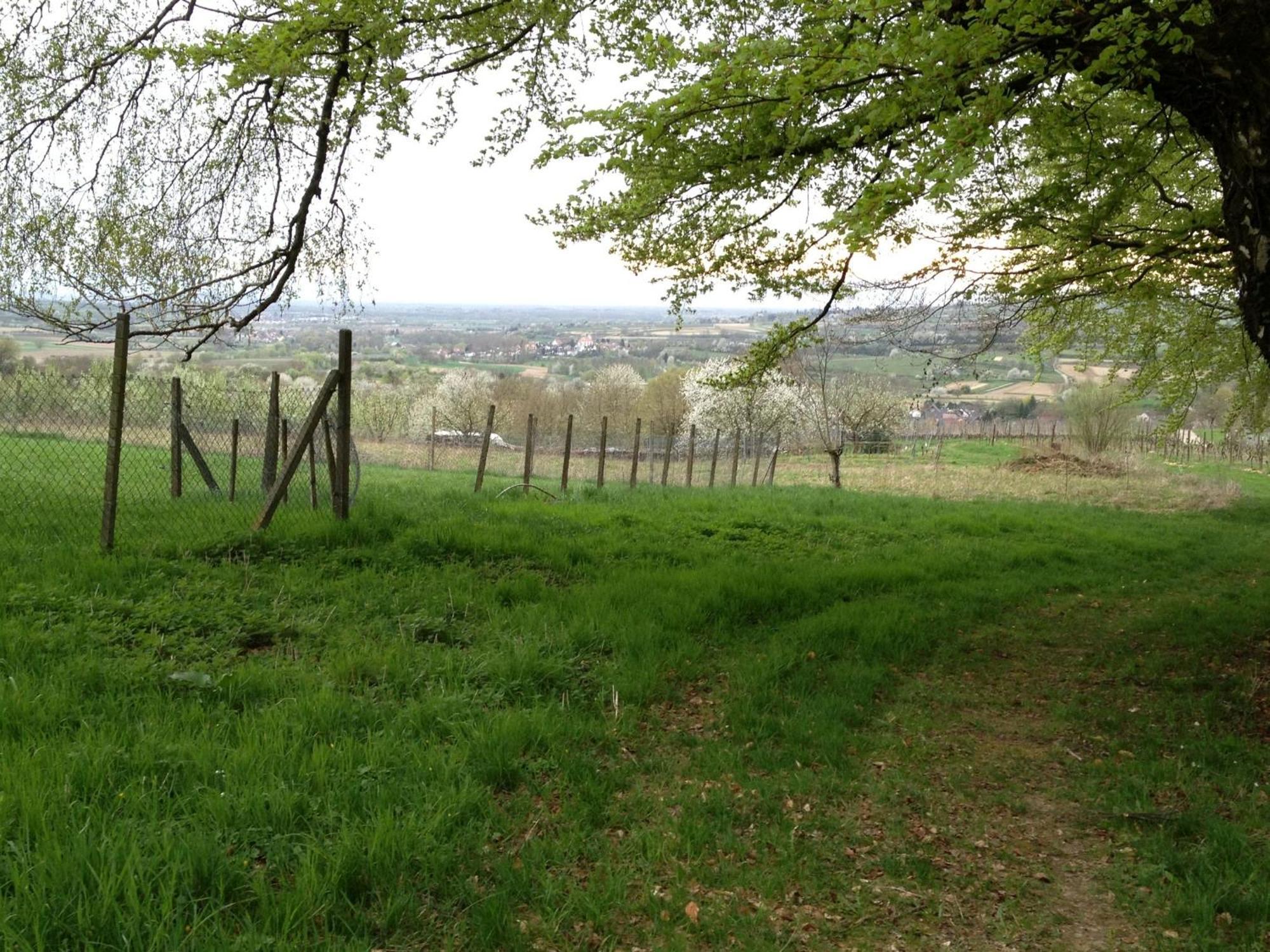 Rosenhof Broggingen Lejlighed Herbolzheim